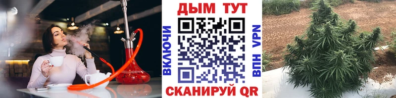 Что такое Шенкурск Кокаин  A-PVP  ГАШИШ 