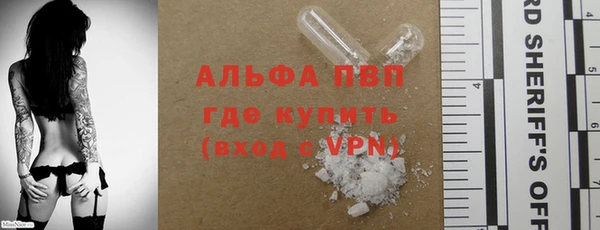 спиды Белокуриха