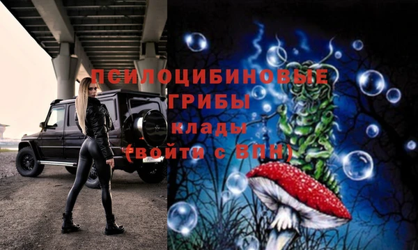 кокс Беломорск